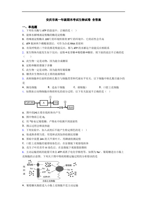 安庆市高一年级期末考试生物试卷 含答案