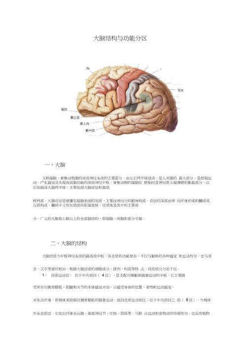 (完整版)大脑结构与功能分区