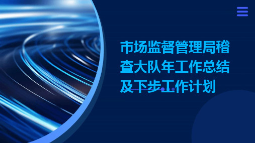 市场监督管理局稽查大队年工作总结及下步工作计划