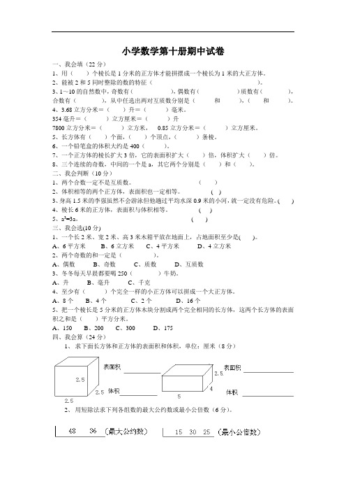 人教版小学五年级数学语文下册期中考试卷