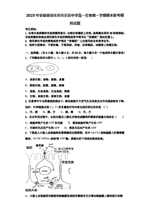 2023年安徽省安庆市市示范中学高一生物第一学期期末联考模拟试题含解析