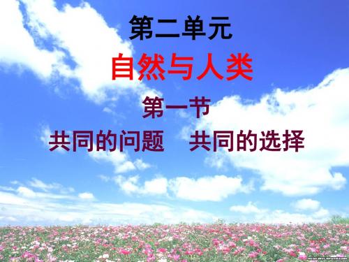 湘师大版九年级道德与法治上册 第二单元第一节共同的问题 共同的选择1