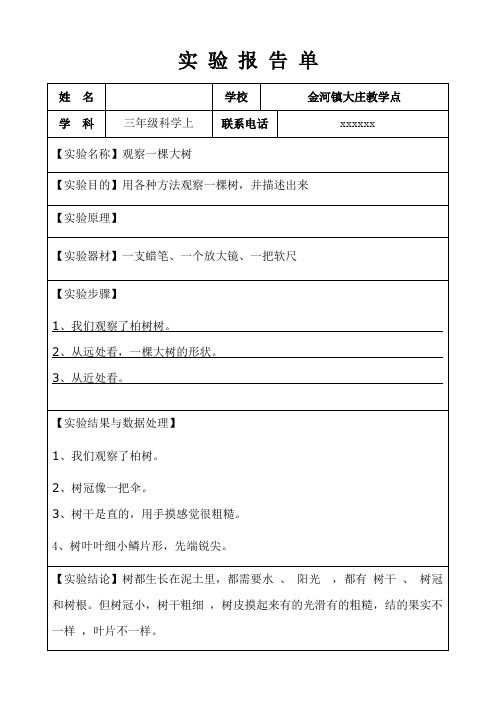 三年级科学上实验报告