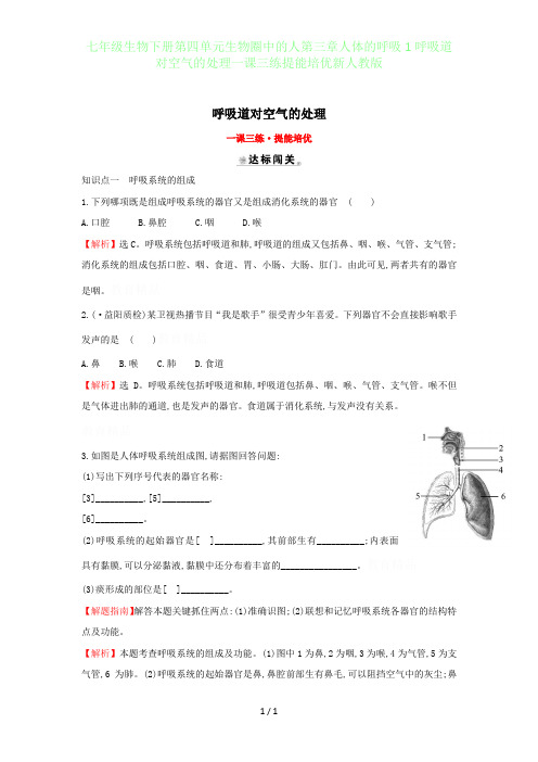 初中七年级生物下册第四单元生物圈中的人第三章人体的呼吸1呼吸道对空气的处理一课三练提能培优新人教版