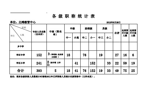 各级职称统计表