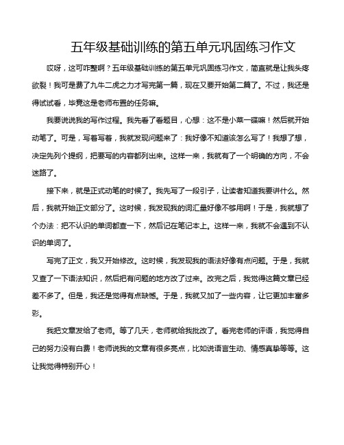 五年级基础训练的第五单元巩固练习作文