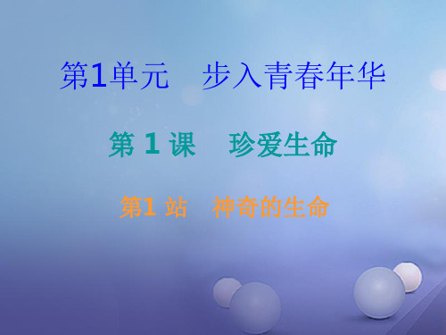 秋八年级道德与法治上册 第一单元 步入青春年华 第1课 珍爱生命 第1框 神奇的生命课件 北师大版