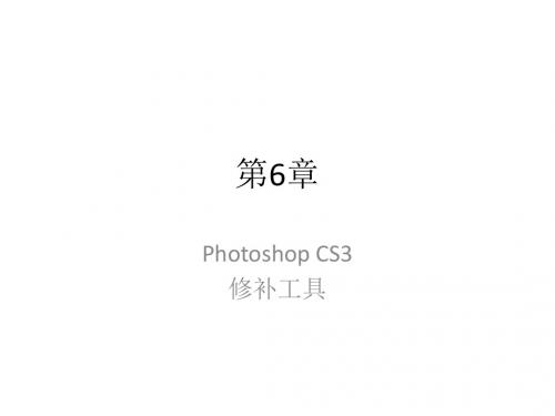 Photoshop CS3案例标准教程-第6章