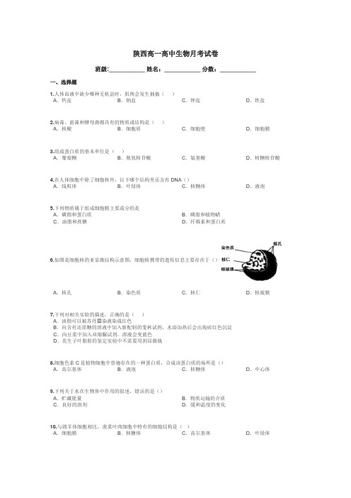 陕西高一高中生物月考试卷带答案解析
