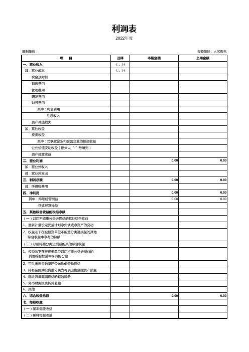 利润表-中文版-样本