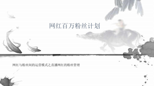 网红百万粉丝计划——策划方案