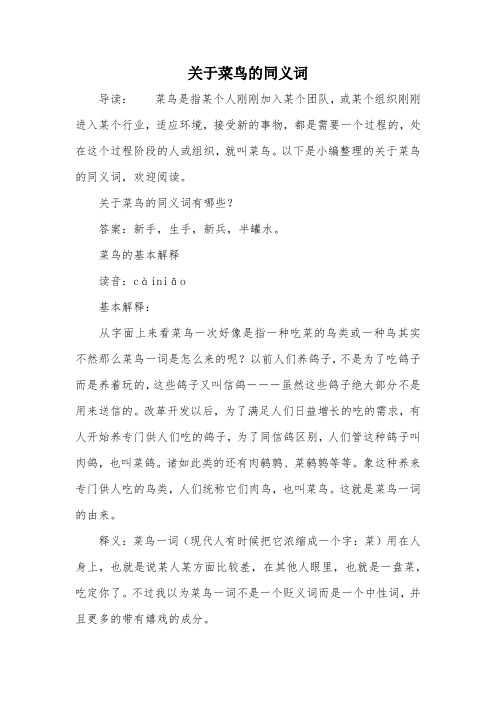关于菜鸟的同义词