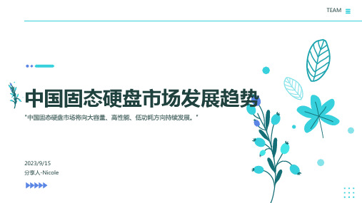 2023年10月我国固态硬盘市场发展趋势分析报告模板