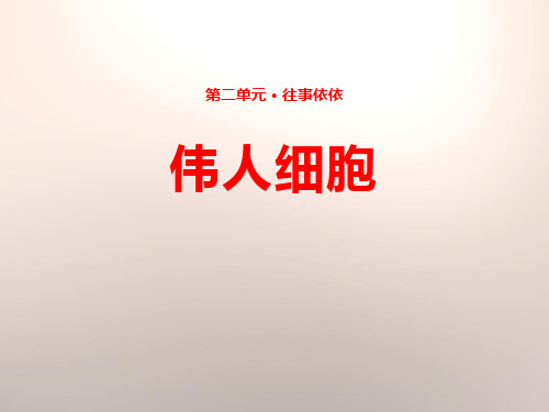 伟人细胞_ppt教学课件