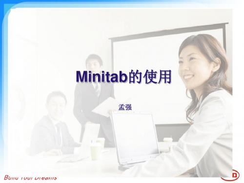 Minitab的使用