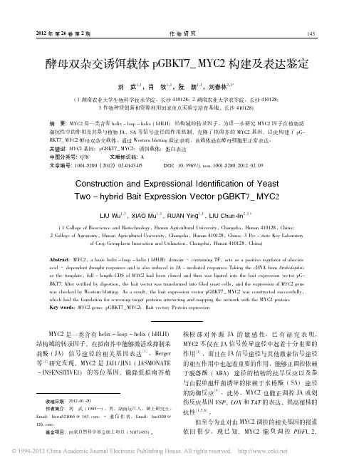 酵母双杂交诱饵载体pGBKT7_MYC2构建及表达鉴定