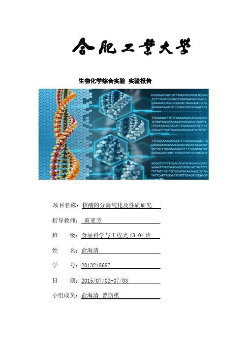 生物化学综合实验报告