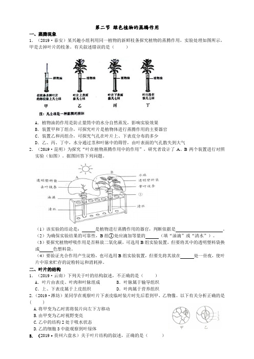 2019年中考生物真题分类：绿色植物的蒸腾作用