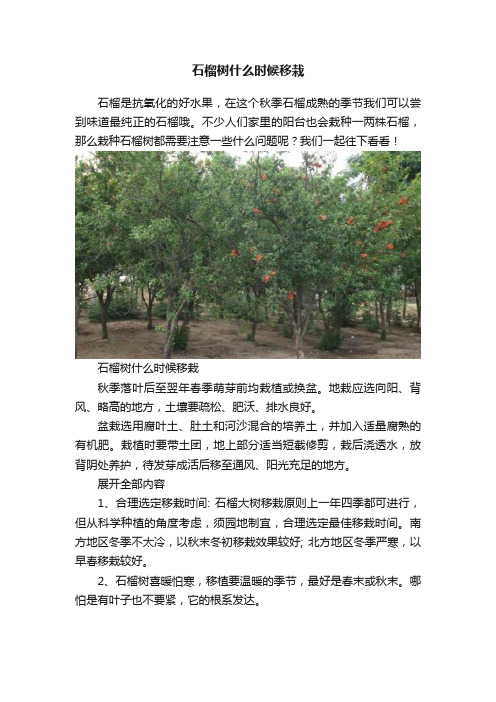 石榴树什么时候移栽