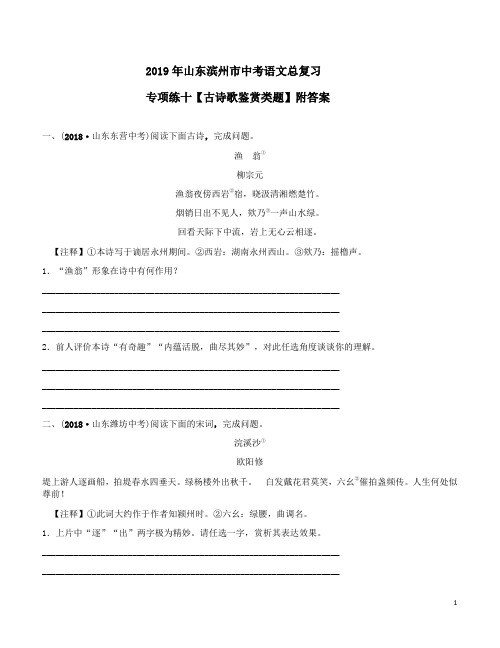 2019年山东滨州市中考语文总复习专项练十【古诗歌鉴赏类题】附答案