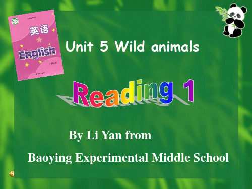 译林牛津版8A Unit 5 Wild animals Reading I教学课件共46张PPT