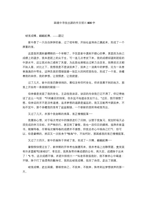 困境中寻找出路的作文初三800字