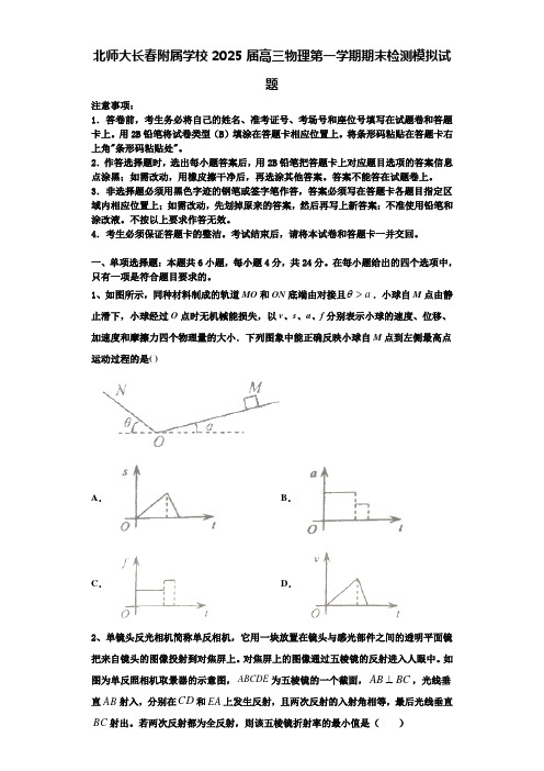 北师大长春附属学校2025届高三物理第一学期期末检测模拟试题含解析