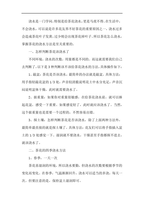 茶花这样浇水,避免黄叶落叶 养花小知识 茶花 园艺
