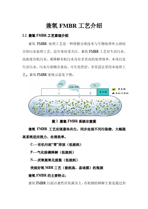 兼氧FMBR工艺介绍 