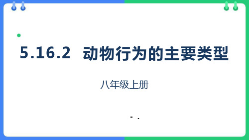 《动物行为的主要类型》PPT优秀课件