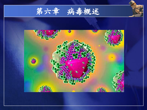 病毒概述-PPT课件