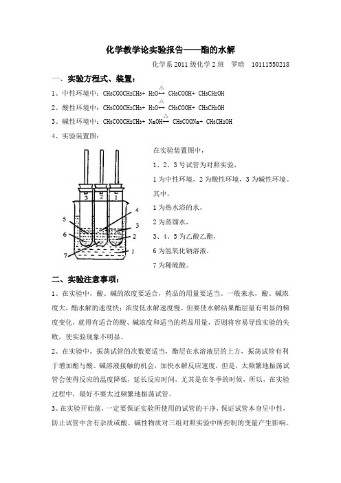 化学教学论实验报告——酯的水解