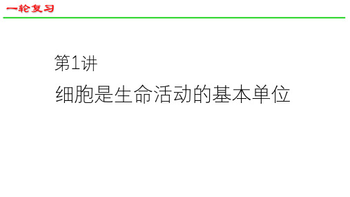 高三生物一轮复习课件细胞是生命活动的基本单位