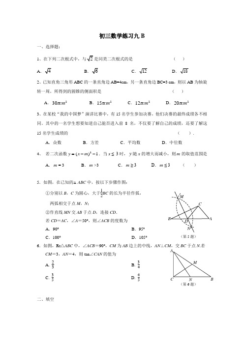 江苏省南京市溧水区孔镇中学16—17学年下学期九年级春季班数学练习题9B(无答案)
