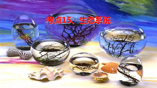 考点15 生态系统-2020年人教版高考生物会考纲要考点课件(共26张PPT)