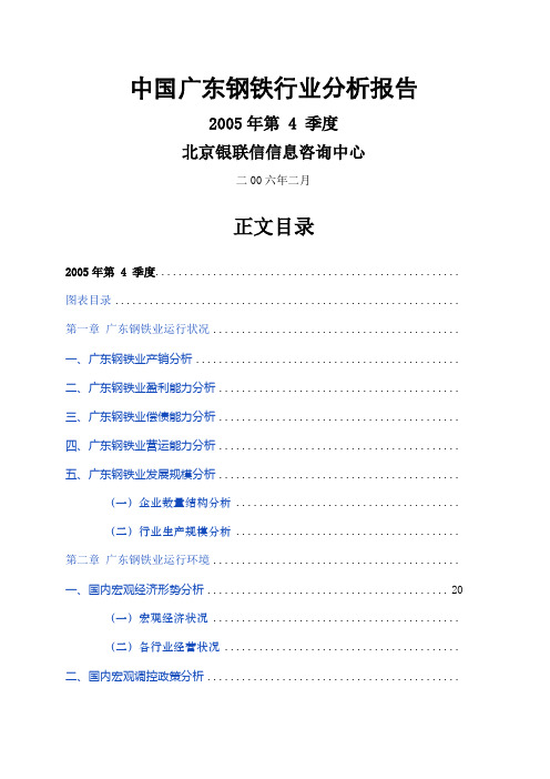 中国广东钢铁行业分析报告