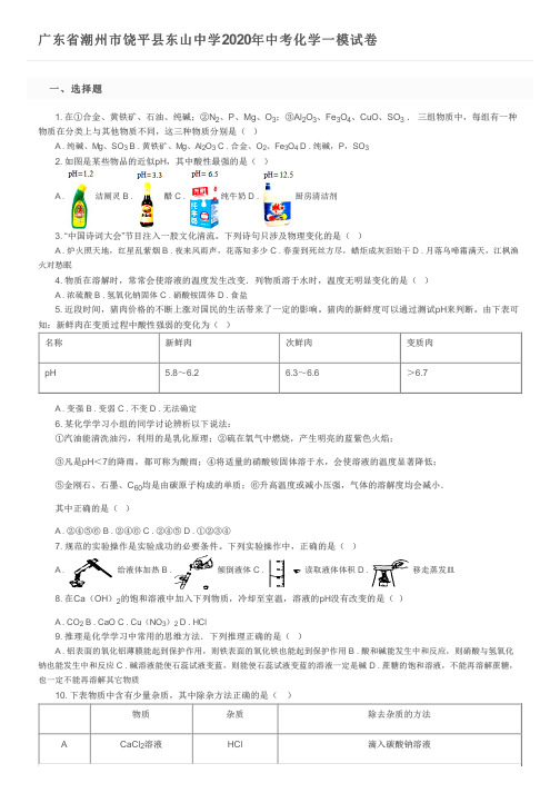 广东省潮州市饶平县东山中学2020年中考化学一模试卷及参考答案