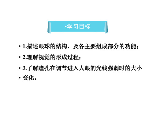 生物七年级人教版 第四单元 生物圈中的人 第六章 人体生命活动的调节(共58张PPT)