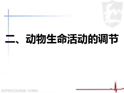 会考复习课件必修三专题二、动物生命活动的调节  (26张PPT)