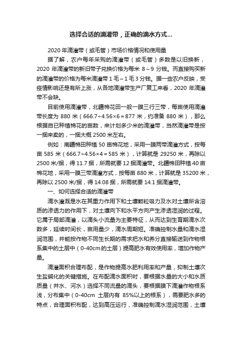 选择合适的滴灌带，正确的滴水方式...