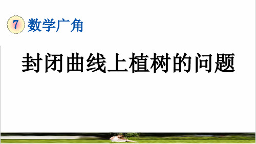 人教版五年级数学上册第七单元《封闭曲线上植树的问题》课件