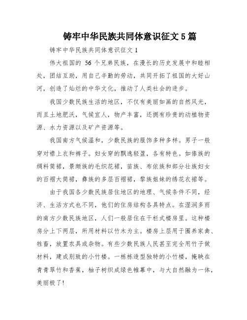 铸牢中华民族共同体意识征文5篇