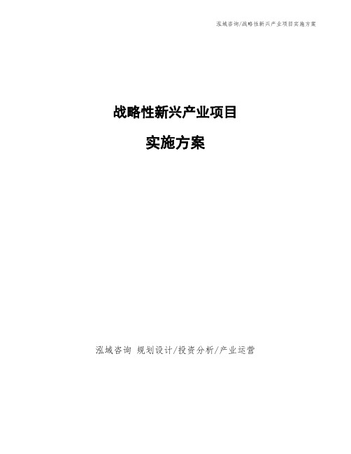 战略性新兴产业项目实施方案