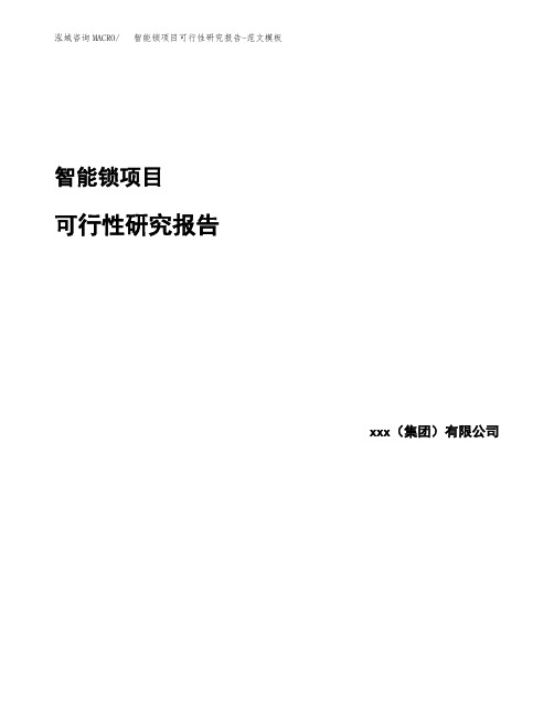 智能锁项目可行性研究报告-范文模板