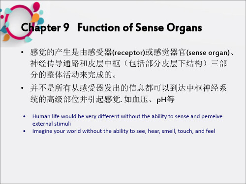 动物生理学9感觉器官的功能