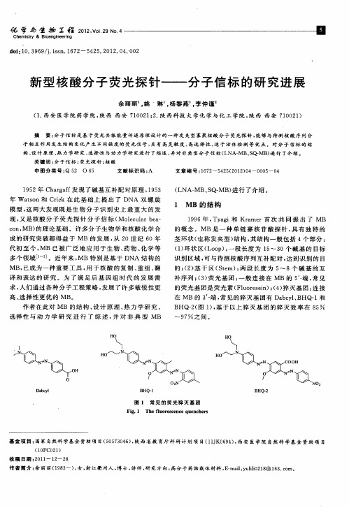 新型核酸分子荧光探针——分子信标的研究进展