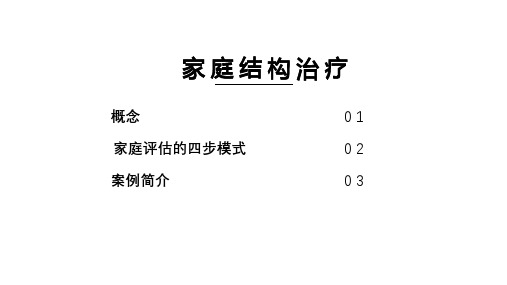 家庭结构治疗模式