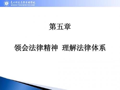 思想道德修养与法律基础 第五章 教案课件