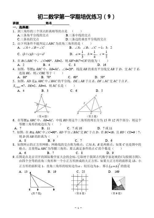 初二数学第一学期培优练习(9)