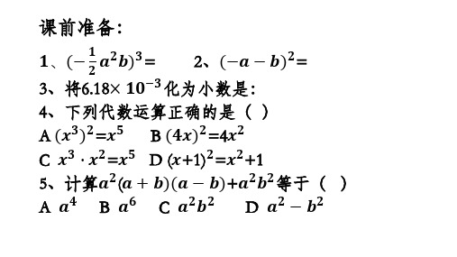 整式的乘法进阶复习教学课件